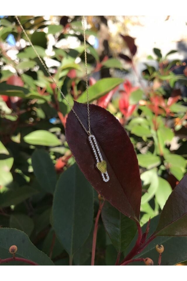 Kadın Altın Kalp Kolye