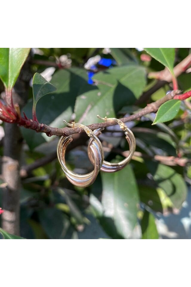 Üç Renk Altın Halka Küpe