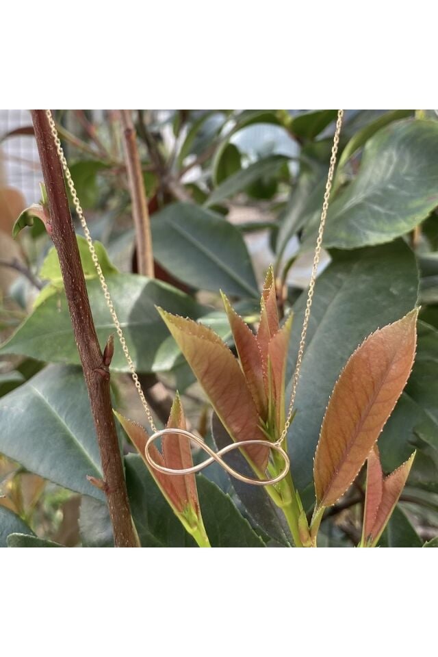 Sonsuzluk altın kolye