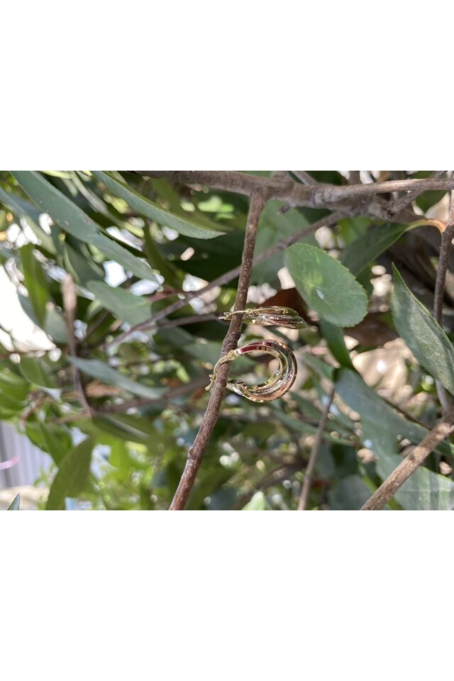 Üç renk halka küpe